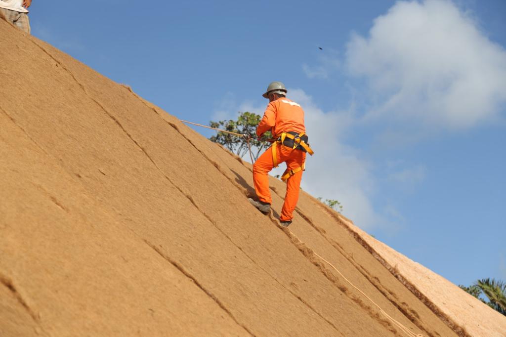 Biomantas de Fibras Vegetais