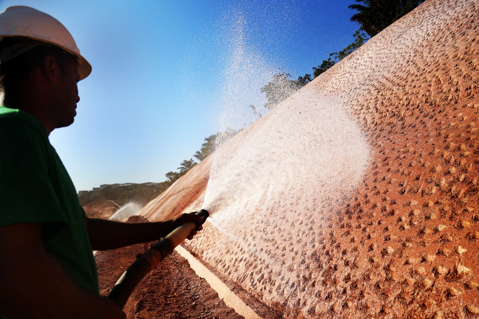 Hidrossemeadura / Biomassa